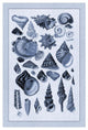 "Shells: Trachelipoda #3 (Blue)" Digital Paper Print by G.B. Sowerby, 14"x20"