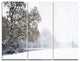 "Christmas Winter Snow" Photo Metal Wall Art, 3 Panels, 36"x28"