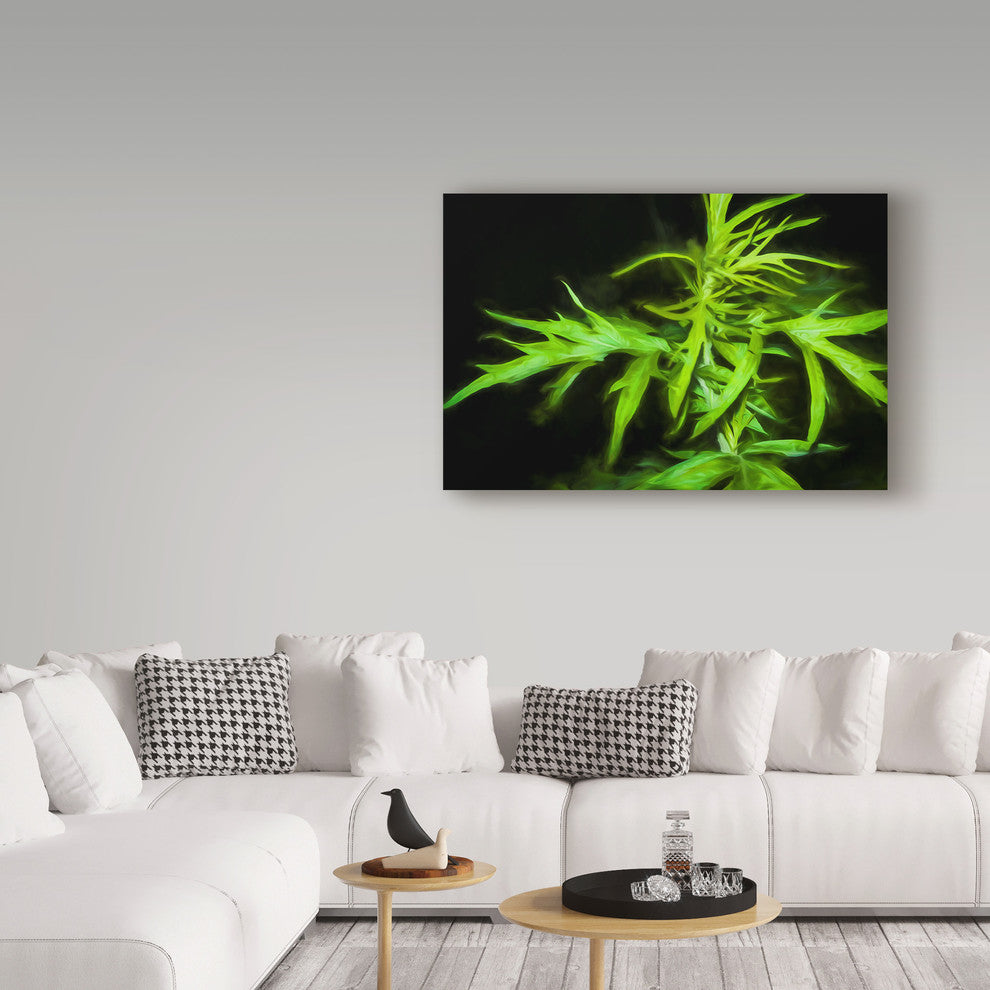 "Wild Green Plant Leaves" by Anthony Paladino, Canvas Art