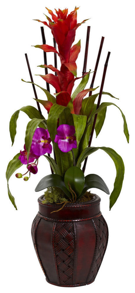 Bromedliad & Orchid Combo, Planter, Orchid