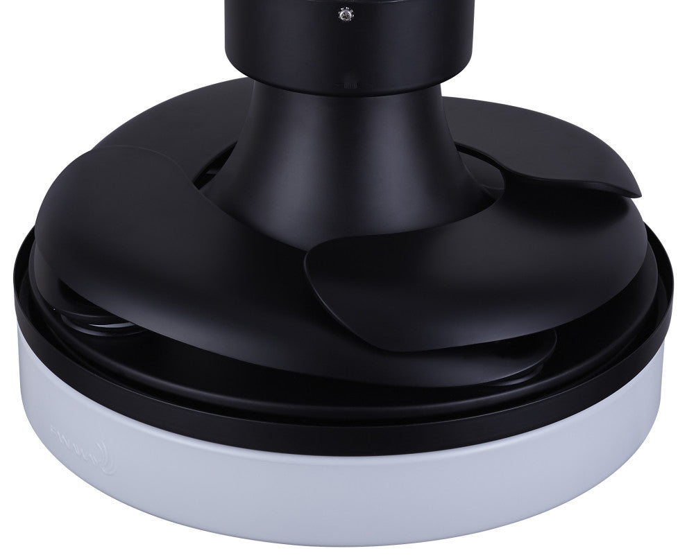 Fanaway Orbit 36" Ceiling Fan With Light, Matte Black