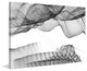 "Abstract Black and White 17-19-50" Print on Canvas by Irena Orlov