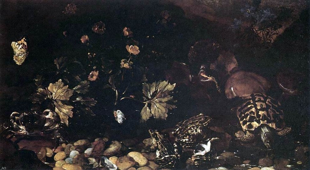 Paolo Porpora Still-Life with a Snake  Frogs  Tortoise and a Lizard Canvas Wrap