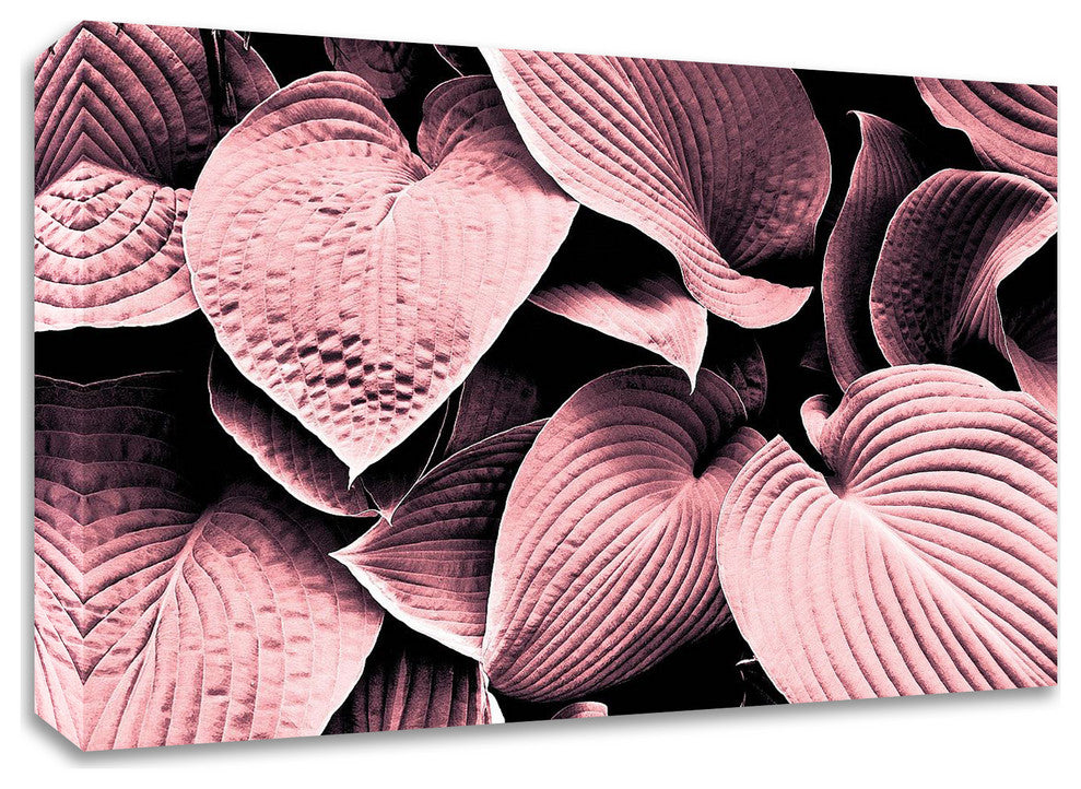 Groove by Design Fabrikken, Print on Canvas, 35"x25"