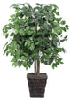 4' Ficus In Square Willow Container