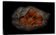 "Orange On Black" Stretched Canvas Giclee by Secundino Losada, 24"x16"