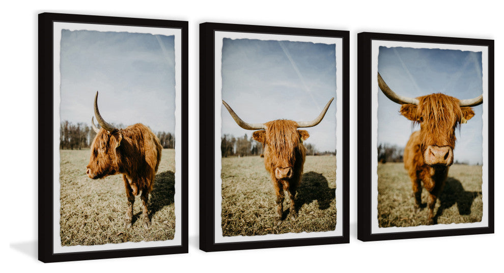 Sweeping Horns Triptych, Set of 3, 12x18 Panels
