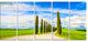 "White Road Through Cypress Trees" Landscape Wall Art Print, 5 Panels, 60"x28"