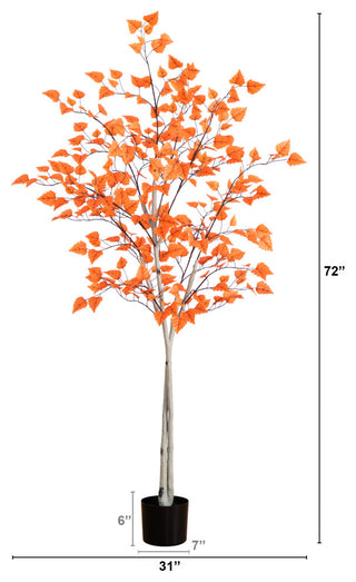 Close-up of leaves on white background; cropped portion of the tree.