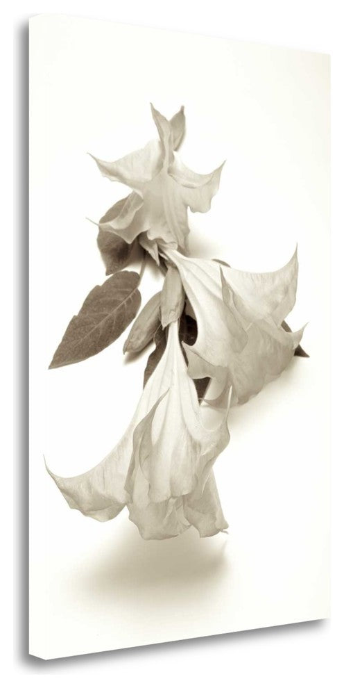 "Garden Bloom - 13" By Alan Blaustein, Giclee Print on Gallery Wrap Canvas