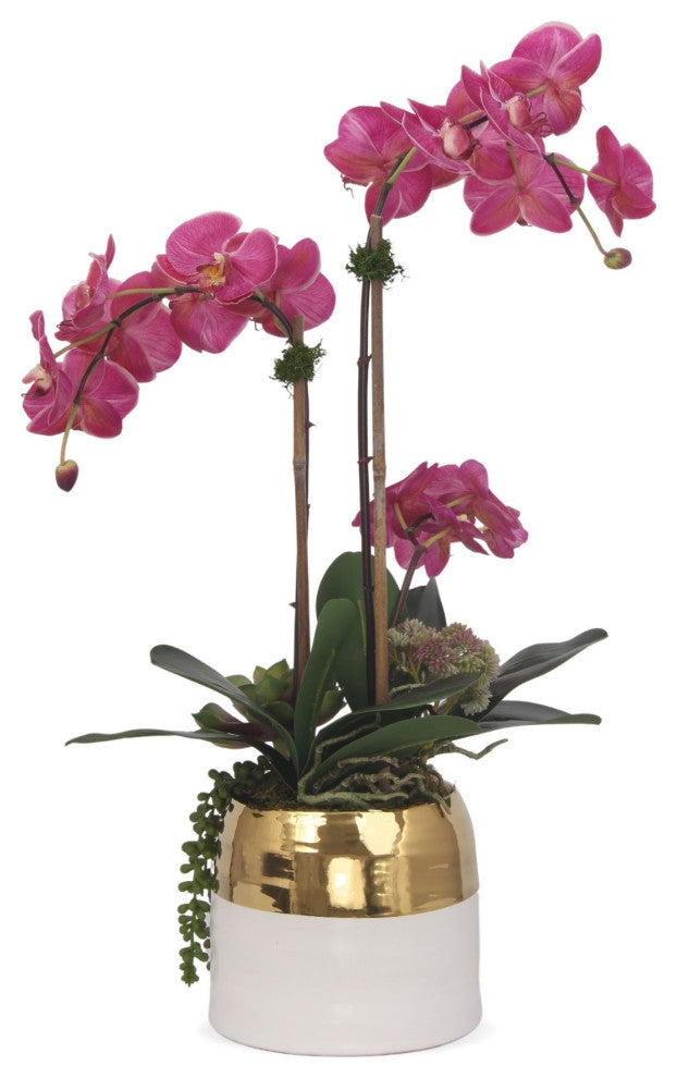 Fuchsia Orchids Arrangement, Round Ceramic Pot
