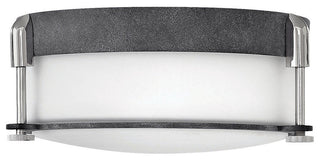 Hinkley Lighting 3231 Colbin 2 Light 12-1/2"W Flush Mount Ceiling - Aged Zinc