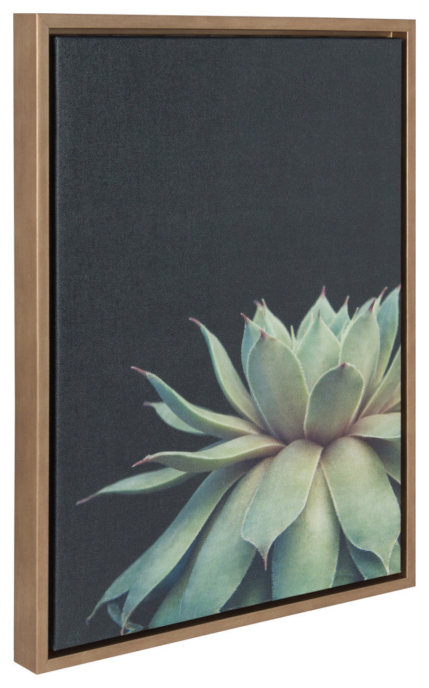 Sylvie Succulent Framed Canvas by F2 Images, Gold 18x24