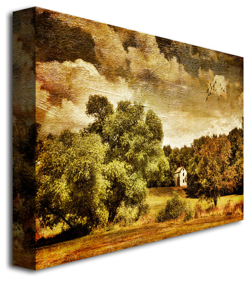 'Old Farm House' Canvas Art by Lois Bryan