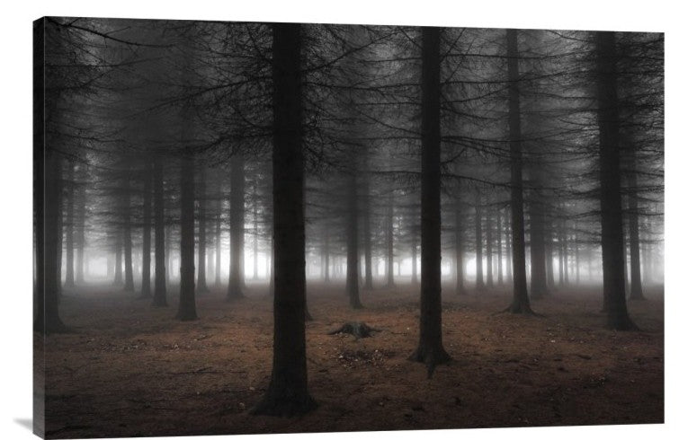 "Silence" Stretched Canvas Giclee by Dragisa Petrovic, 30"x20"