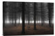 "Silence" Stretched Canvas Giclee by Dragisa Petrovic, 30"x20"
