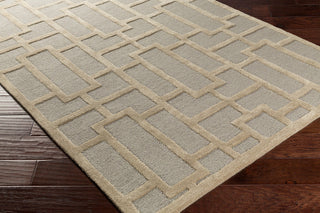 Arise Modern Light Gray, Khaki Area Rug, 4'x6'