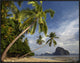Palm Trees, Pinagbuyutan Island, Palawan, Philippines, 32"x24"