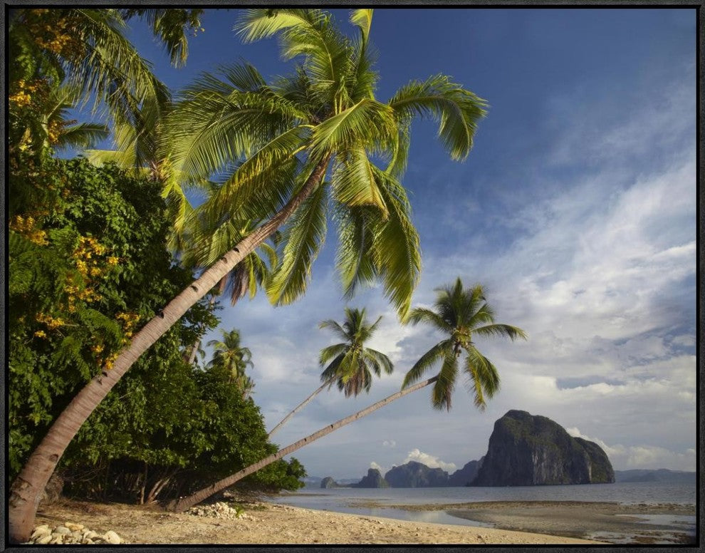 Palm Trees, Pinagbuyutan Island, Palawan, Philippines, 32"x24"