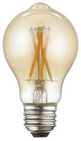 A19 Pear Filament LED Bulbs, Set of 10