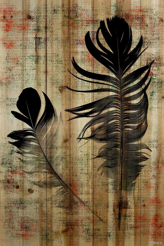 "Beautiful Black Feathers" Print on Natural Pine Wood, 24"x36"