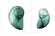 "Snail" Printed Wall Art on Unframed Free Floating Tempered Glass Set of 2
