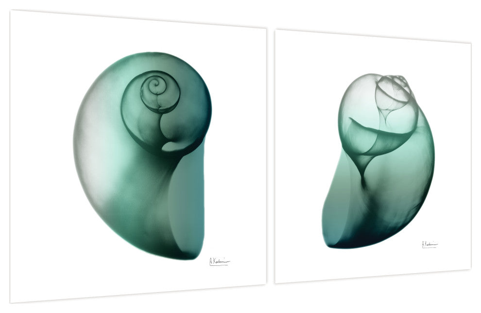 "Snail" Printed Wall Art on Unframed Free Floating Tempered Glass Set of 2