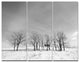 Black and White Trees in Winter, Landscape Triptych Canvas Art, 36x28, 3 Panels