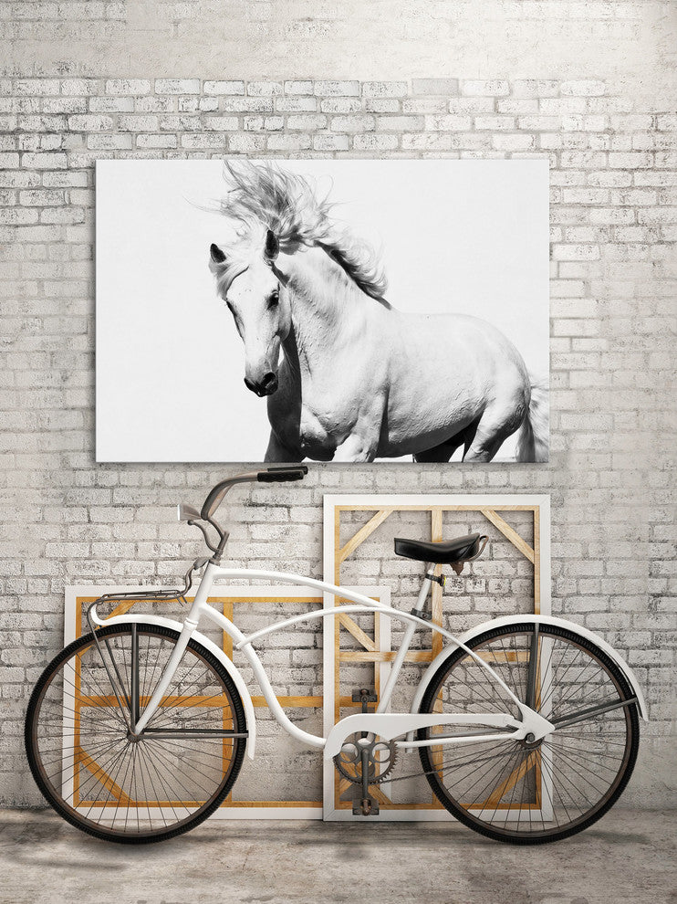"Glorious Stallion" Art Print, 152x101 cm