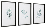 Simple Sage Watercolor Prints, Set of 3