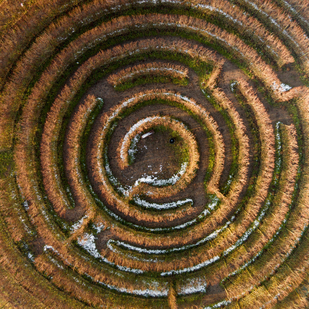 "Crop Circle" Print on Canvas by Karolis Janulis