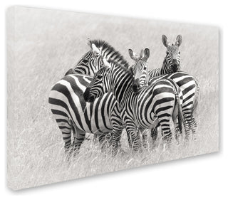 Kirill Trubitsyn 'Zebras' Canvas Art, 32 x 22