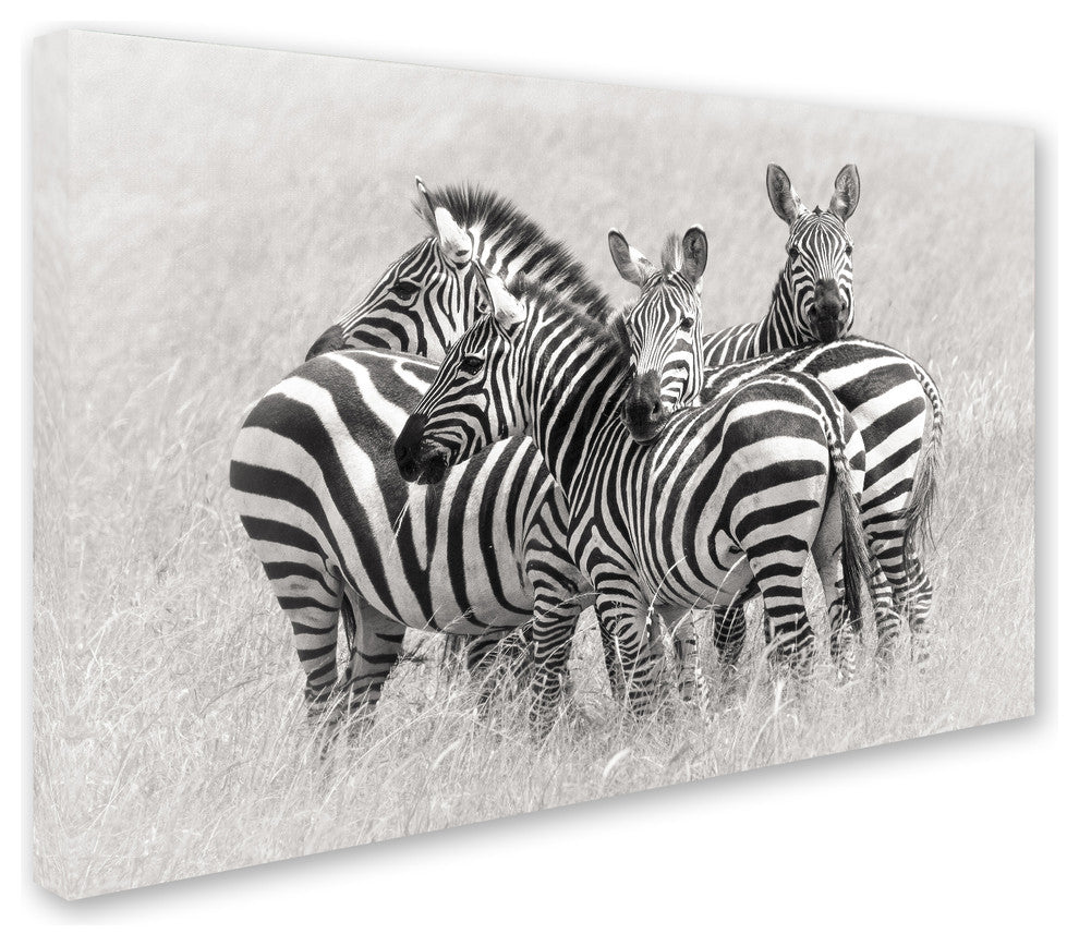 Kirill Trubitsyn 'Zebras' Canvas Art, 32 x 22
