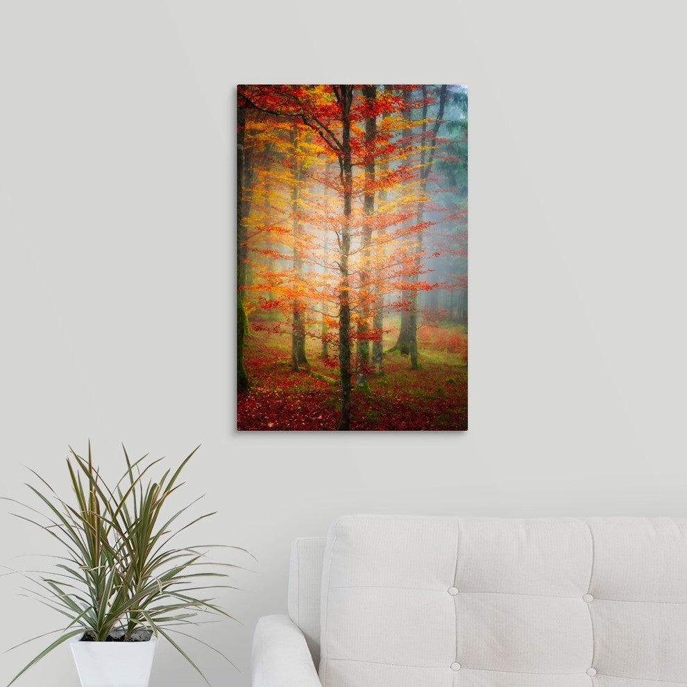 "Autumn's End" Wrapped Canvas Art Print, 16"x24"x1.5"
