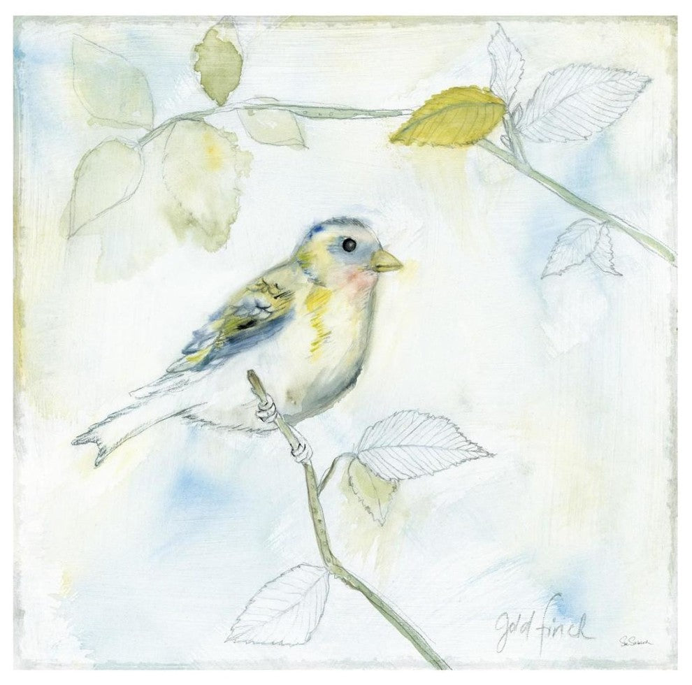 "Sketched Songbird I" Digital Paper Print by Sue Schlabach, 20"x20"