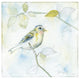 "Sketched Songbird I" Digital Paper Print by Sue Schlabach, 20"x20"