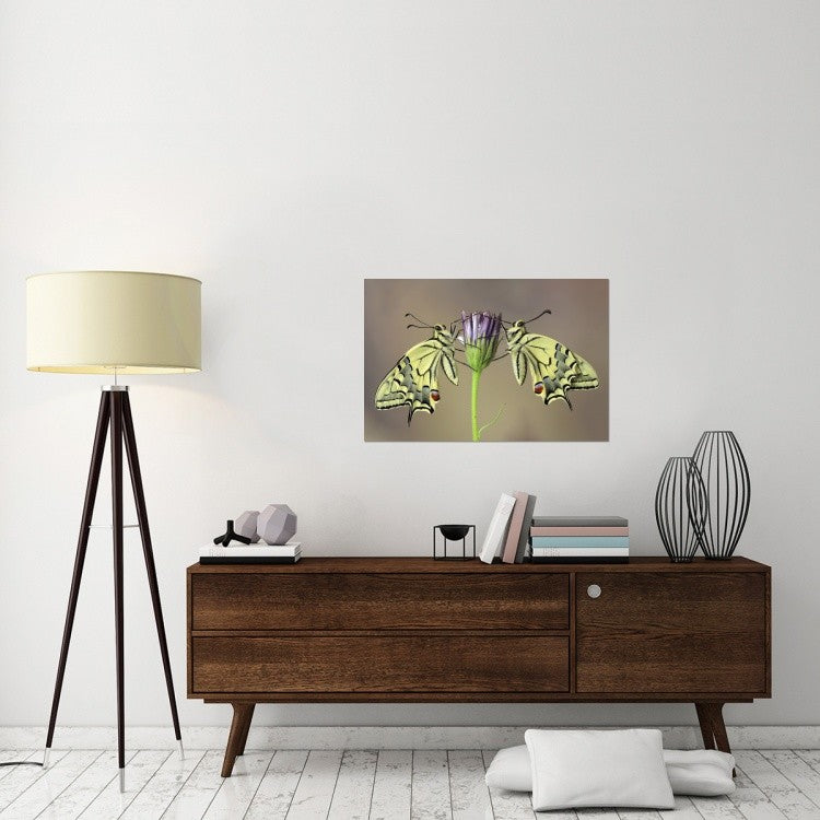 "Symmetry" Stretched Canvas Giclee by Jimmy Hoffman, 36x24"