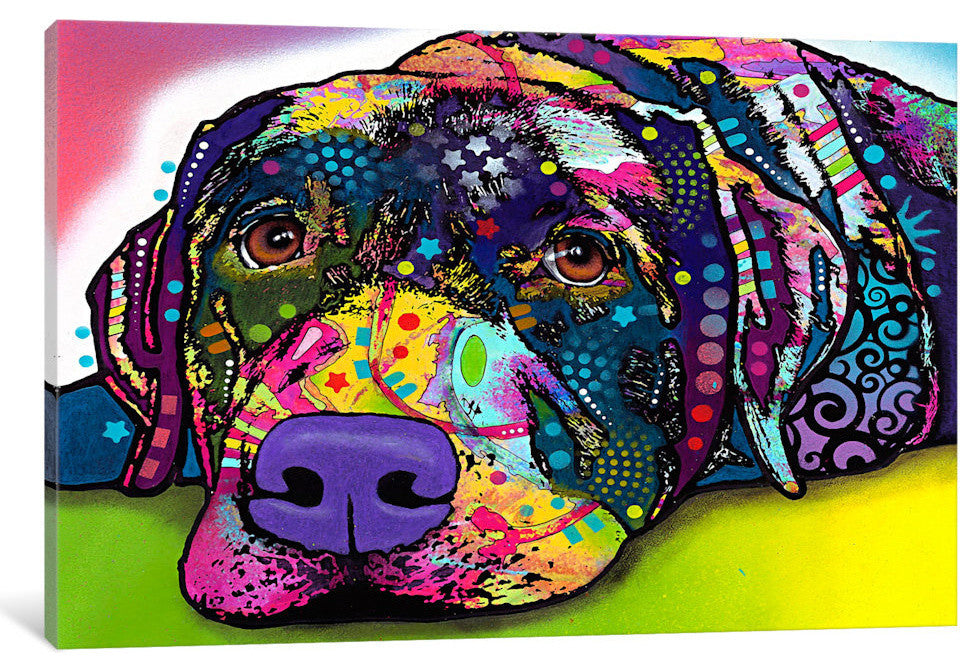 Savvy Labrador by Dean Russo