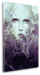 "Vine" By Anna Dittman, Giclee Print on Gallery Wrap Canvas, Ready to Hang