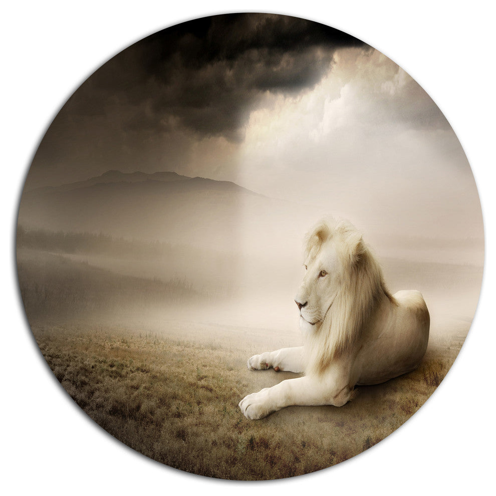 King Of Animals At Sunset, Animal Round Metal Wall Art, 36"
