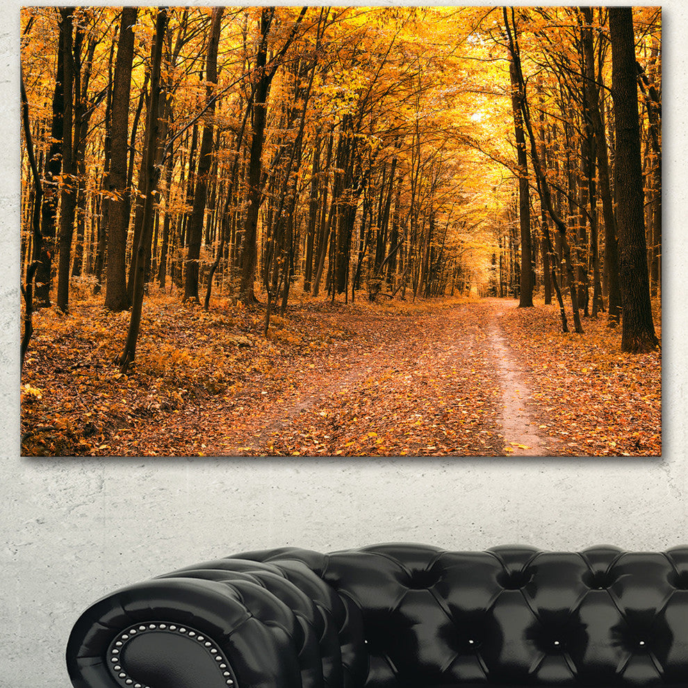 Pathway in Yellow Autumn Forest, Forest Canvas Art Print, 40"x30"