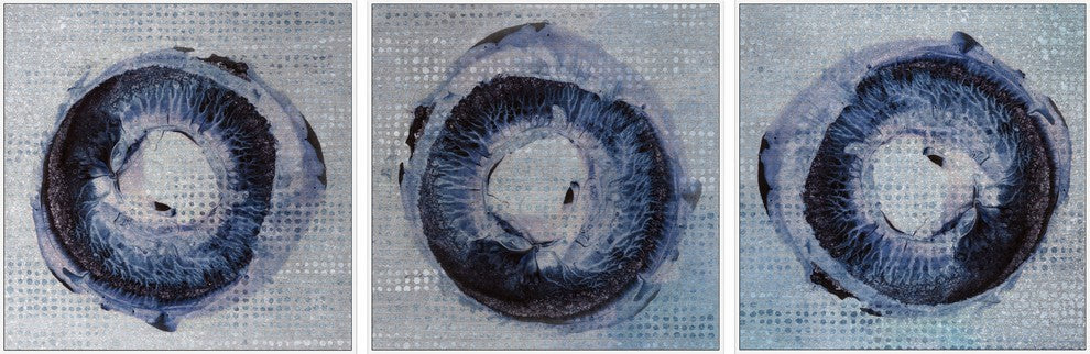 Dark Rings Triptych, 60x20
