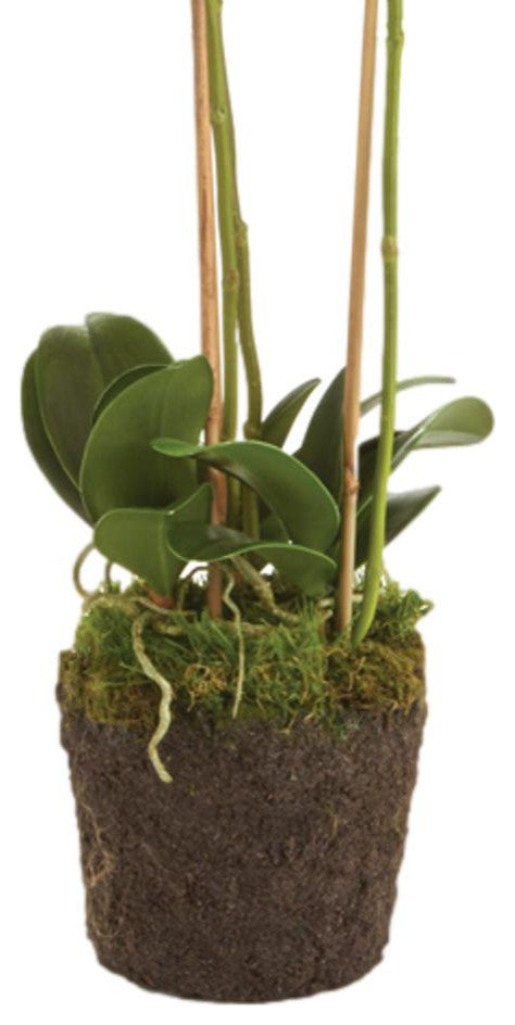 Double Stem White Phalaenopsis Orchid Faux Flower Artificial Plant Drop In
