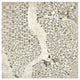 "Neutral New York Map" Digital Paper Print by Laura Marshall, 42"x42"