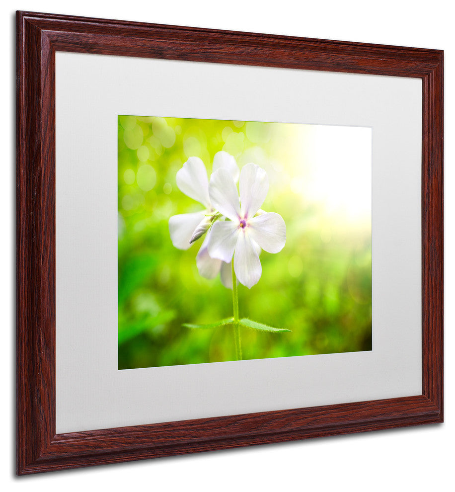 PIPA Fine Art 'Beauty of the Forest Floor' Matted Framed Art, 20x16