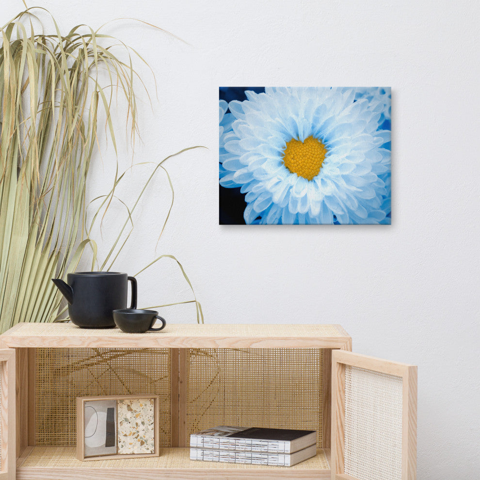 Blue Tinted Chrysanthemums Nature Photo Botanical Floral Canvas Wall Art Print, 16" X 20"