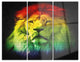 "Colorful Lion Head" Digital Metal Wall Art, 3 Panels, 36"x28"