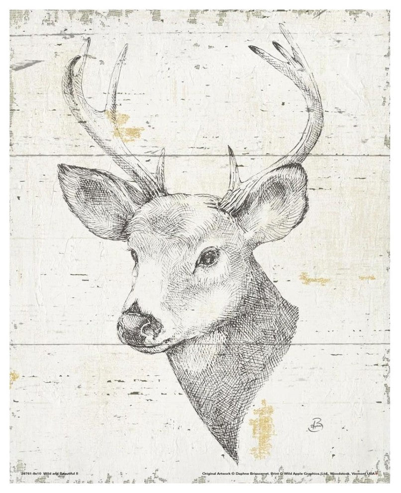 "Wild and Beautiful II" Digital Paper Print by Daphne Brissonnet, 30"x37"