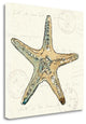 "Coastal Breeze VIII" By Anne Tavoletti, Giclee Print on Gallery Wrap Canvas