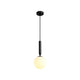 1 Light Glass Globe Pendant Light, Black